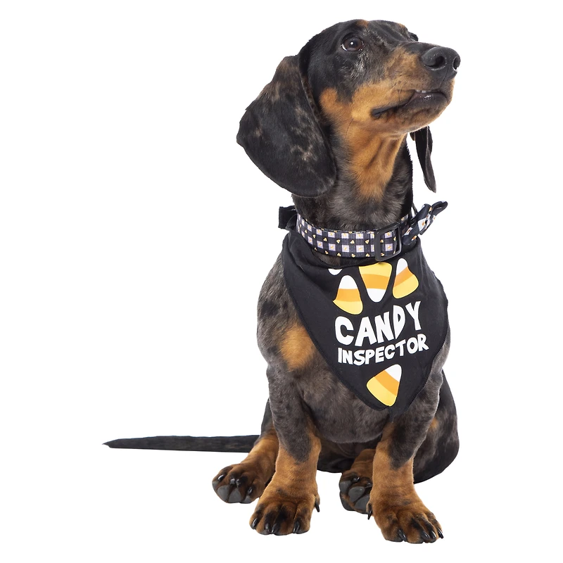 matching halloween pet collar & bandana