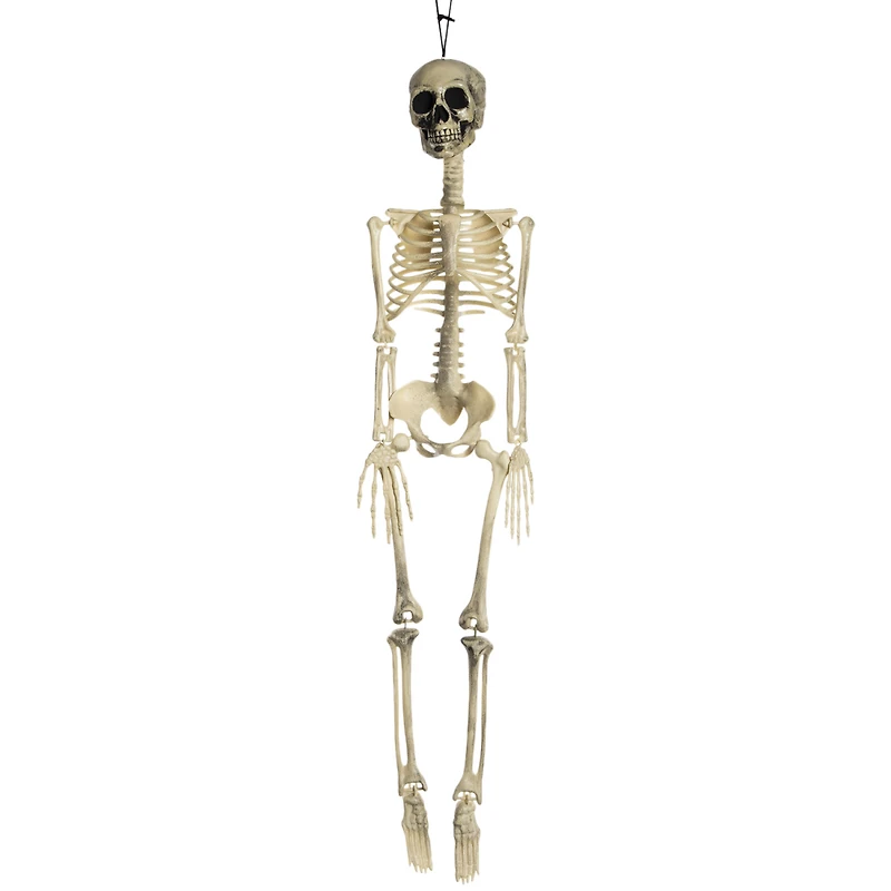 3ft hanging halloween skeleton decor