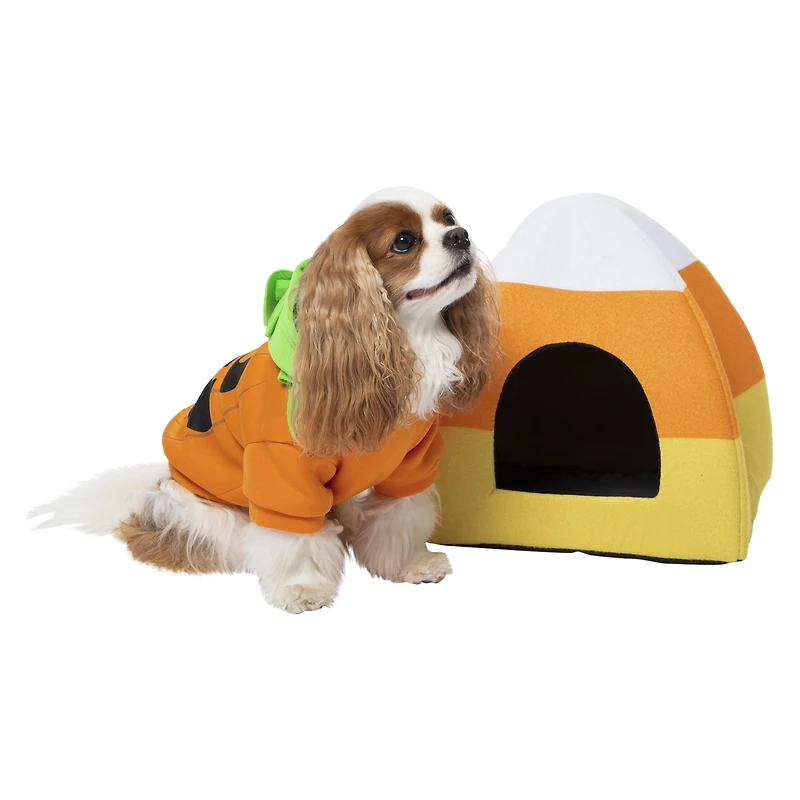halloween candy corn pet hut