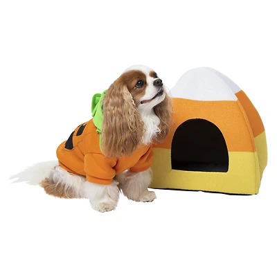 halloween candy corn pet hut