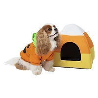 halloween candy corn pet hut