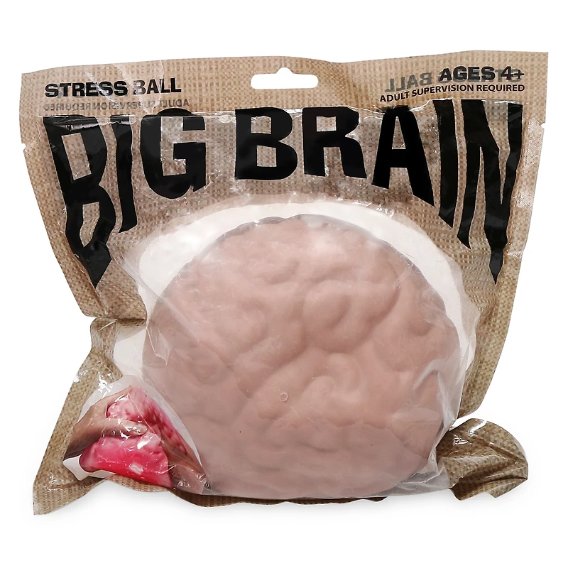 big brain stress ball sensory toy