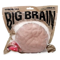 big brain stress ball sensory toy