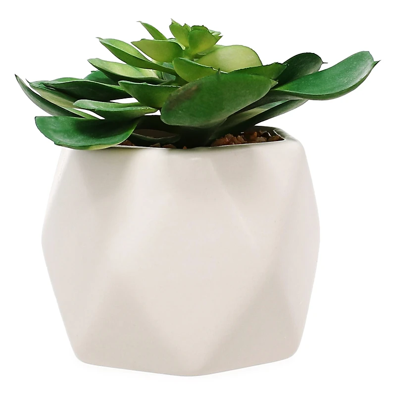 faux succulent faceted ceramic pot 5in