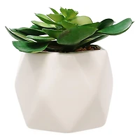 faux succulent faceted ceramic pot 5in