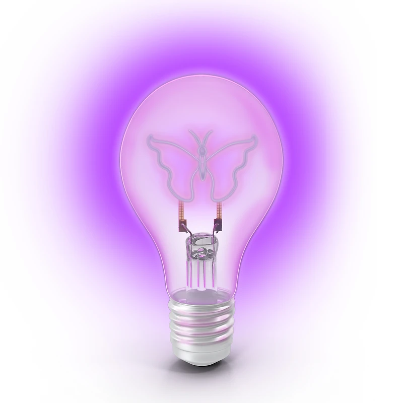 exclusive Dixie & Charli collection butterfly LED filament light bulb