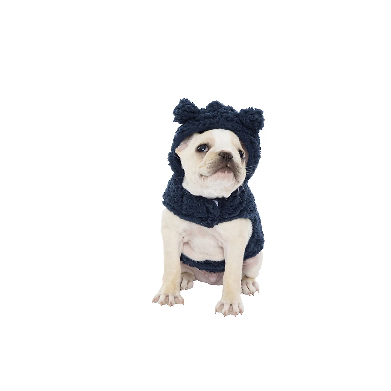 teddy bear fleece pet hoodie