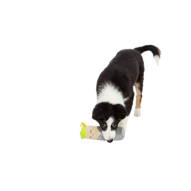 taco/burrito foodie plush squeaky dog toy Five Below