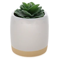 flocked faux succulent plant 4in
