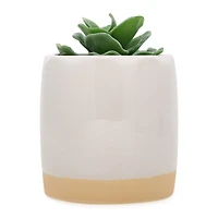 flocked faux succulent plant 4in
