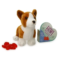 valentine's corgi plush & candy gift