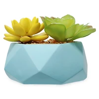faux succulent plants white geometric planter