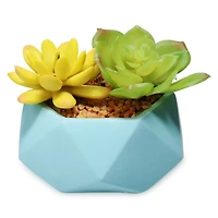 faux succulent plants white geometric planter