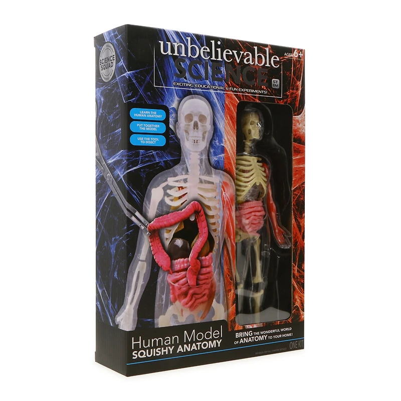 science squad® human model with skeleton & squishy anatomy