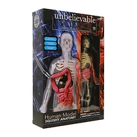 science squad® human model with skeleton & squishy anatomy