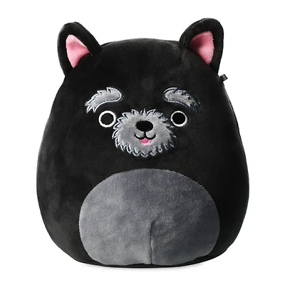 squishmallows™ chuy the cairn terrier 7.5in plush