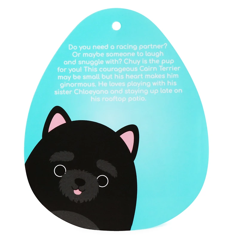 squishmallows™ chuy the cairn terrier 7.5in plush