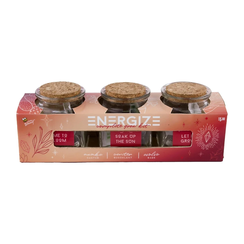 'energize' complete grow kit with jars - cactus, succulent, sage