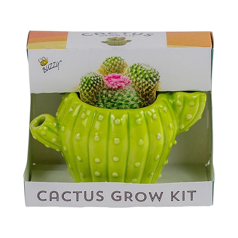 cactus grow kit in cactus-shaped pot