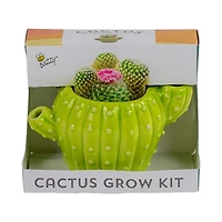 cactus grow kit in cactus-shaped pot