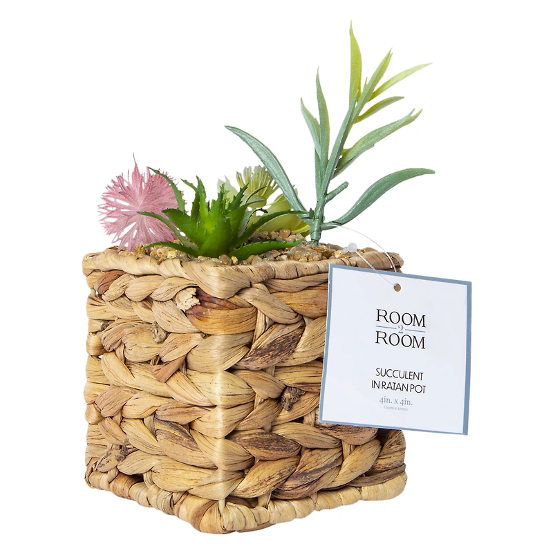faux succulent garden with rattan planter 4in