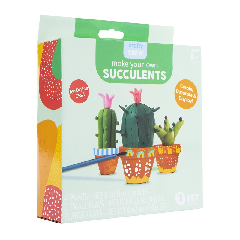clay succulents DIY kit