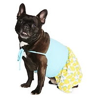 summer pet dress - lemons