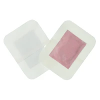 my beauty spot® ginger detoxifying scented foot pads, 5 pairs