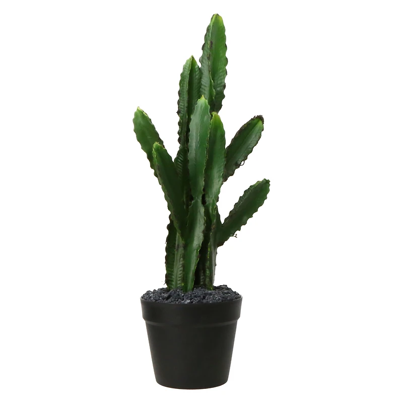 large saguaro cactus faux house plant 8in x 27in