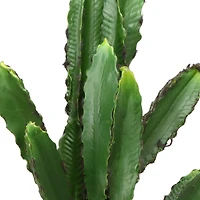 large saguaro cactus faux house plant 8in x 27in