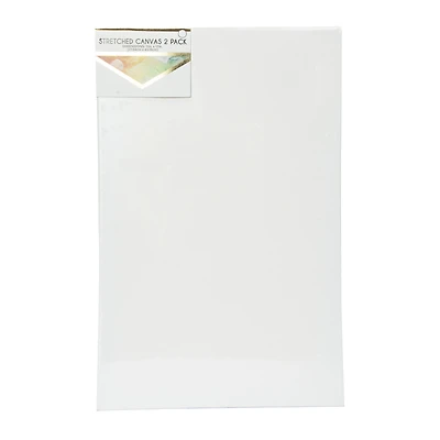 11in x 17in stretched canvas 2-pack