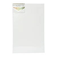 11in x 17in stretched canvas 2-pack