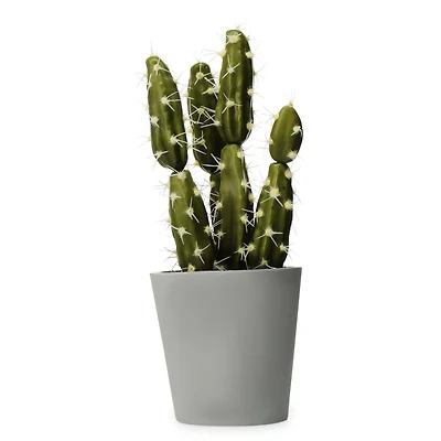 6in faux cactus house plant
