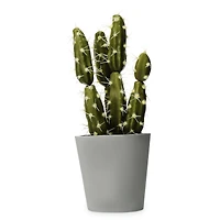 6in faux cactus house plant