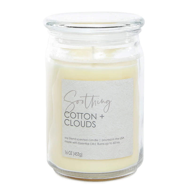 stay at home frosted apothecary jar candle 16oz - cotton & clouds