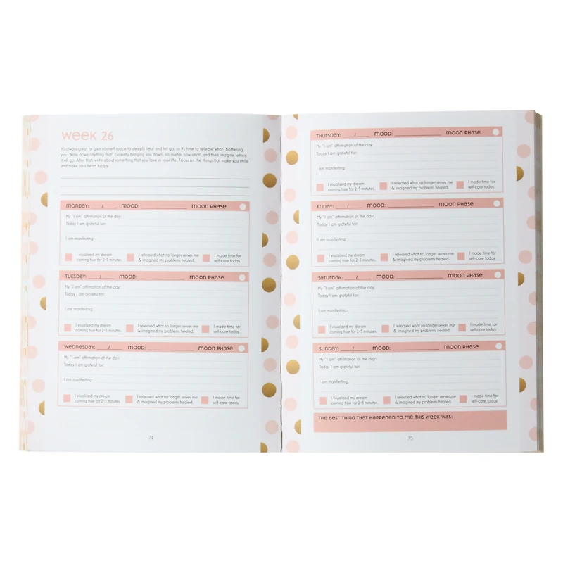 'this year will be' 52-week mindset practice journal