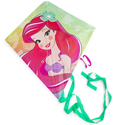 character kite 22.5in x 21.5in