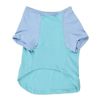 summer dog graphic tee