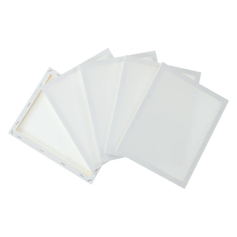 8in x 10in stretched canvas 5-pack