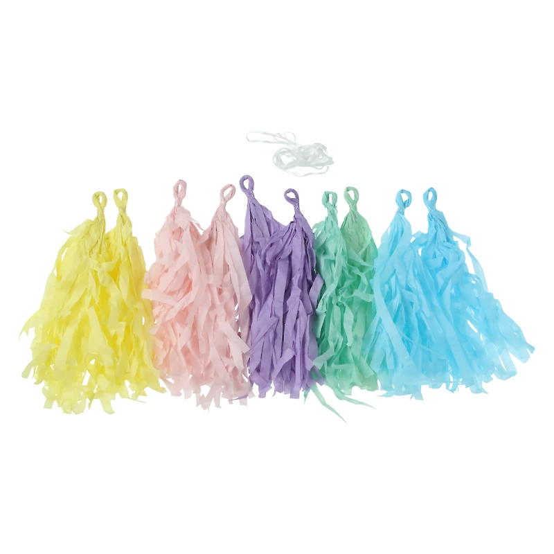 10ft pastel rainbow tassel banner
