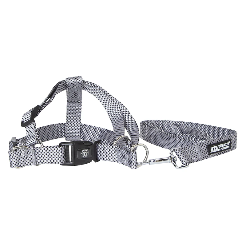 harness & lead set for large dogs