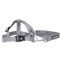 harness & lead set for large dogs