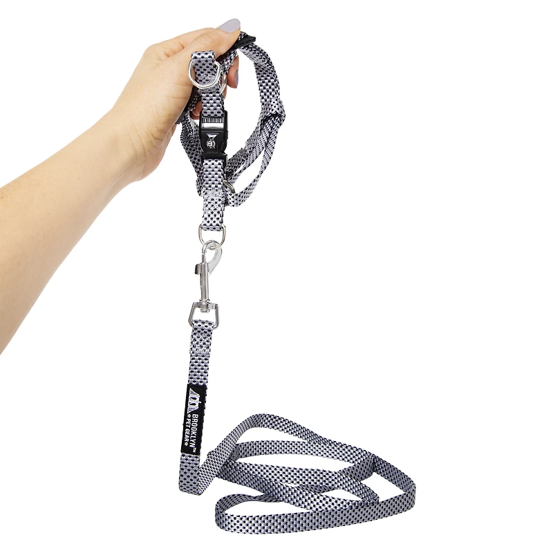 harness & lead set for small dogs