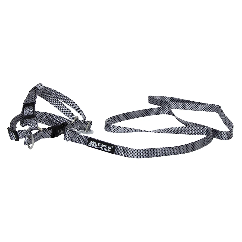 harness & lead set for small dogs
