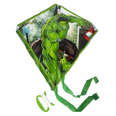 kite 22.5in x 21.5in