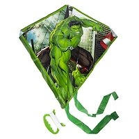 kite 22.5in x 21.5in