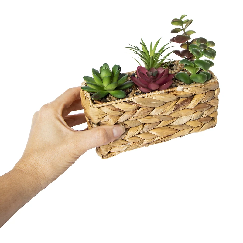 faux succulents basket 7in x 6.25in