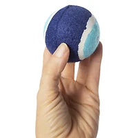 6-count dog toy tennis balls with squeaker inside