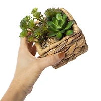 faux succulent plants basket 6.8in