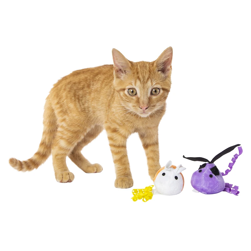 2-pack halloween cat toys